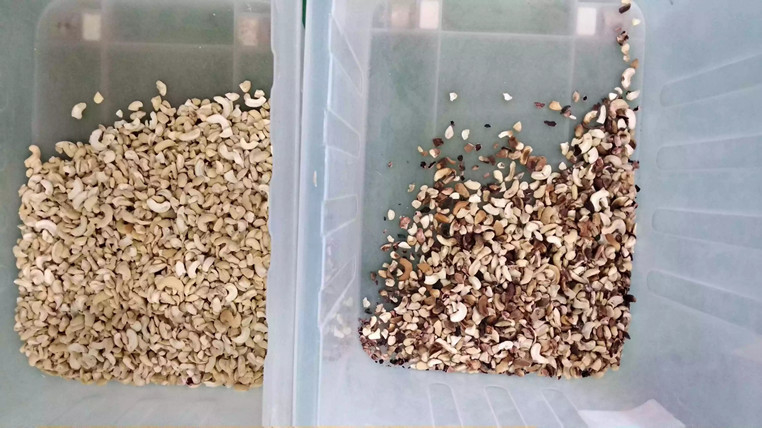 CCD cinese di Olive Peanut Color Sorter del pepe intelligente più economico migliore che ordina selezionatrice