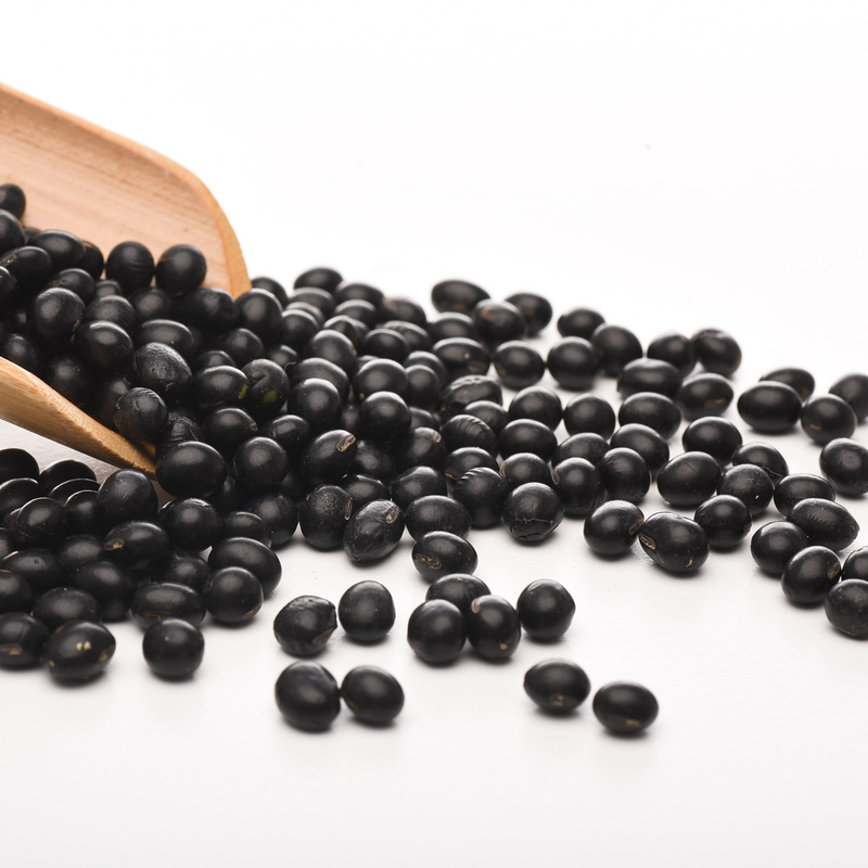 I fagioli neri del consumo basso di acciaio inossidabile colorano la pianta del terreno coltivabile della macchina del selezionatore