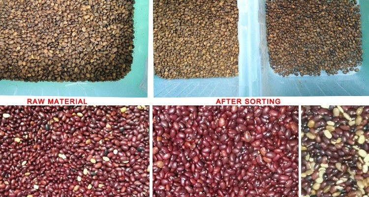 Lente speciale di Bean Sesame Color Sorter With del caffè di elaborazione di immagini