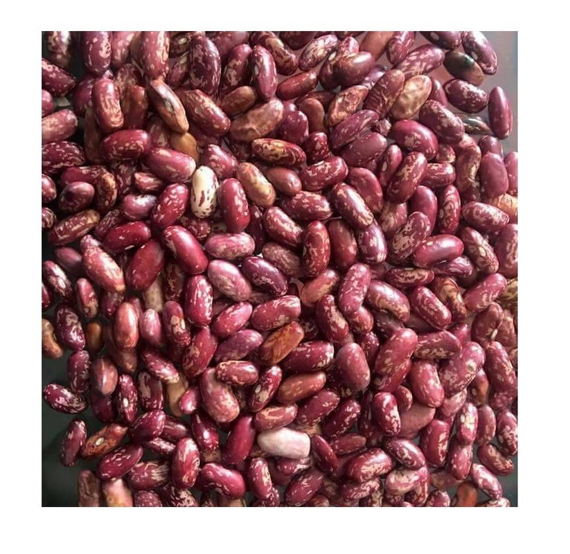 Selezionatore di colore di WENYAO 240V per la linea di trasformazione dei fagioli