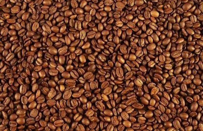 I grani delle fave di cacao del Brasile colorano il vaglio con il CCD RGB
