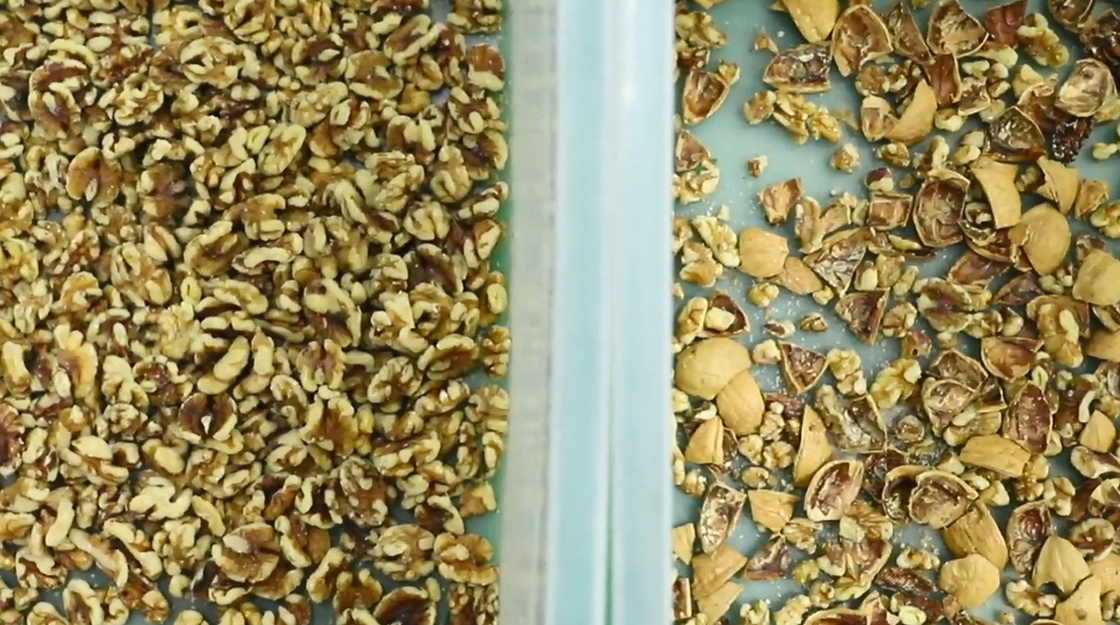 Selezionatore di colore del dado di AI della telecamera CCD di Wenyao Nut Sorting Processing Machine