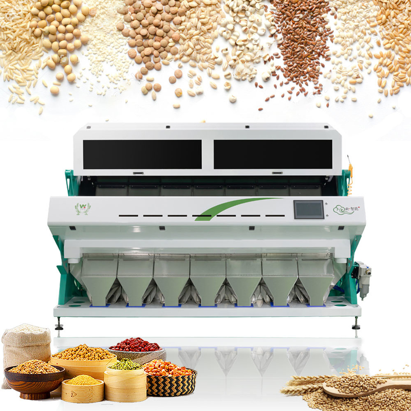 Linea di trasformazione vaglio usato dell'azienda agricola automatica di 7 scivoli di colore dell'orzo del grano con la macchina fotografica di Toshiba