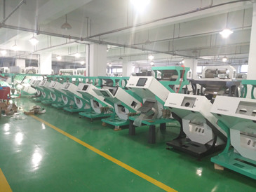 Linea di trasformazione vaglio usato dell'azienda agricola automatica di 7 scivoli di colore dell'orzo del grano con la macchina fotografica di Toshiba