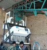 Wenyao Small Grain Color Sorter For Sale Peanut Seed Color Price Sorting Machine Color Sorter Manufacturer