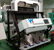Wenyao Small Grain Color Sorter For Sale Peanut Seed Color Price Sorting Machine Color Sorter Manufacturer