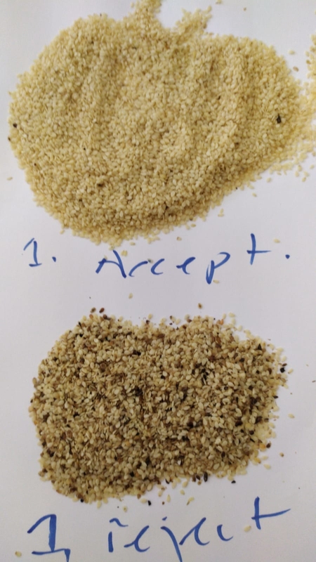 CE ad alta frequenza di Chili Seeds Color Sorting Machines del coriandolo della zucca di 6 scivoli certifited