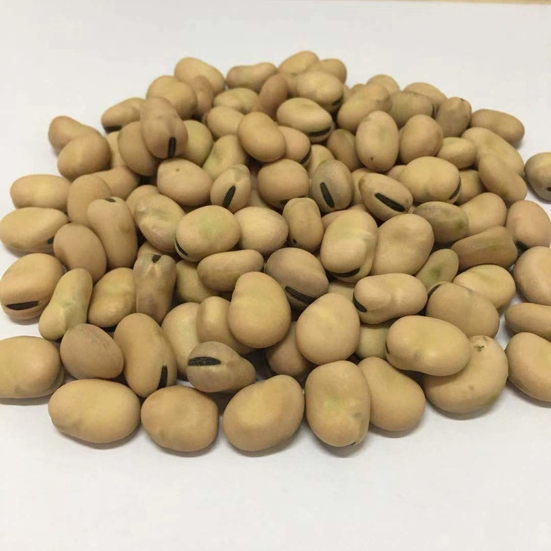 Macchina multifunzionale originale del selezionatore di colore di vendita diretta della fabbrica della Cina per terreno coltivabile