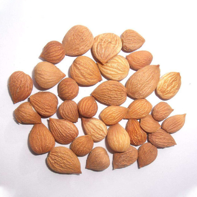 Macchina stabilita completa del selezionatore di colore della mandorla del fornitore di qualità della Cina per la pianta alimentare