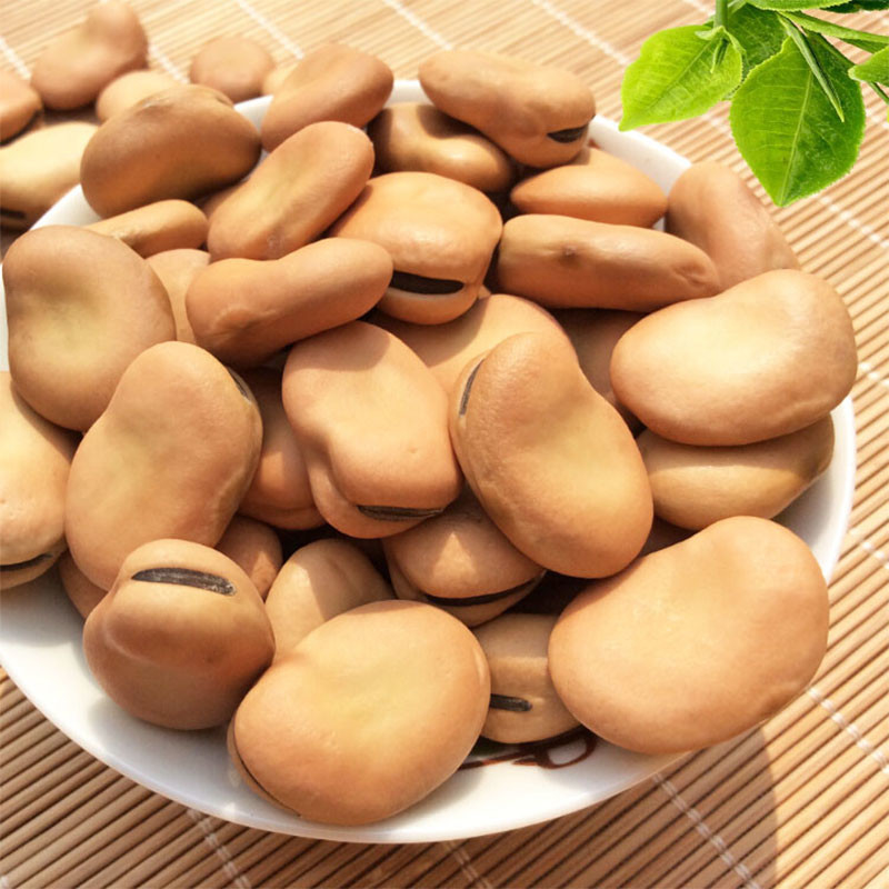 I fagioli ottici astuti dei dadi del CCD colorano il vaglio per la pianta alimentare