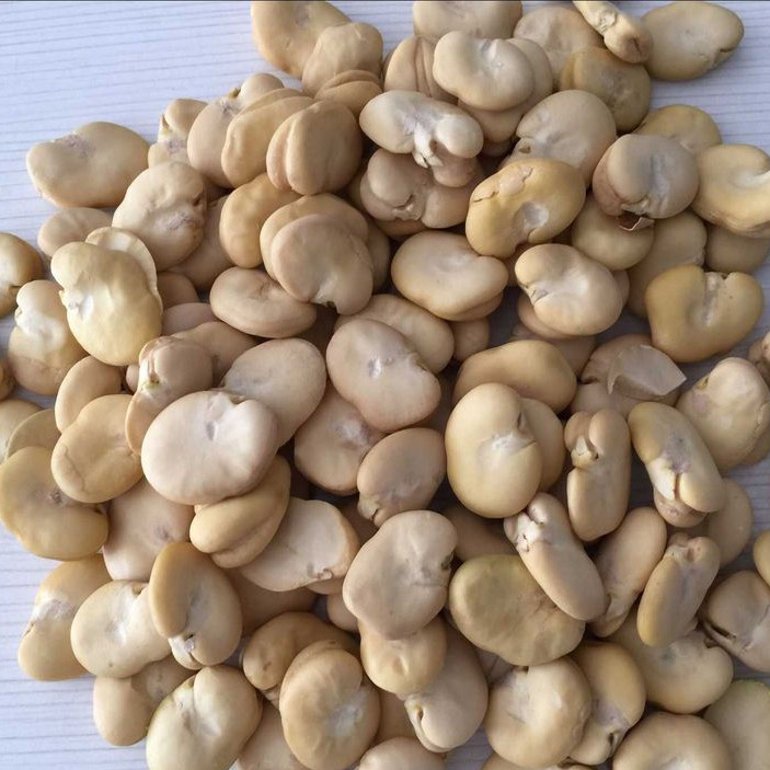 I fagioli ottici astuti dei dadi del CCD colorano il vaglio per la pianta alimentare