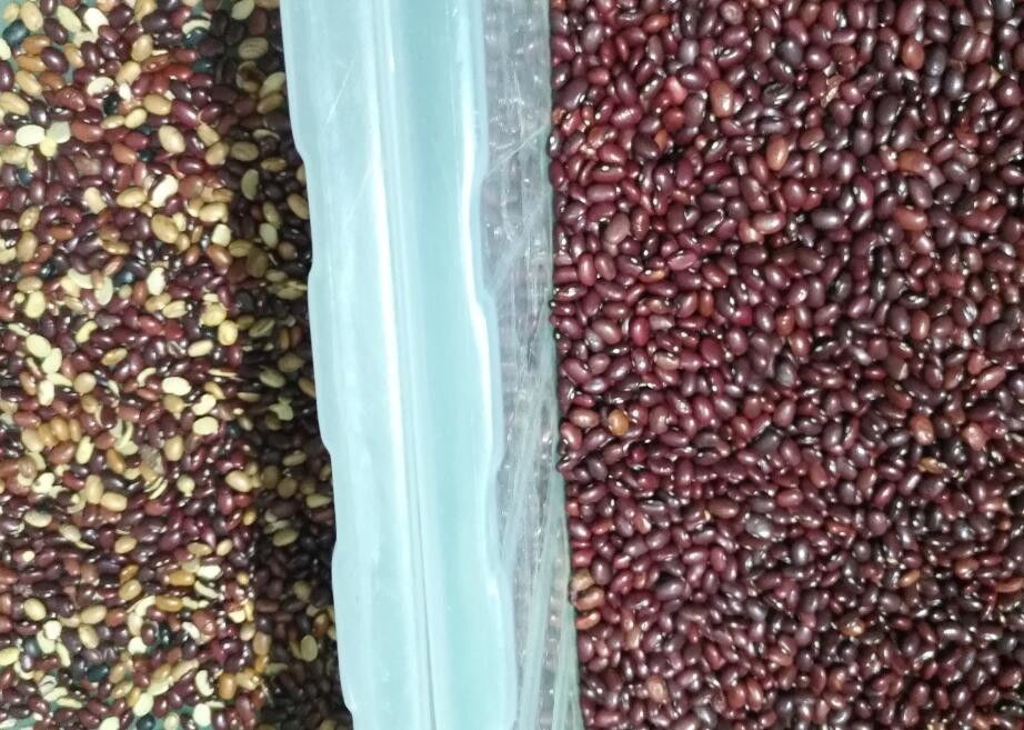 Capacità di lavorazione di Red Green Bean Cardamom Multifunction Color Sorter 3t/H