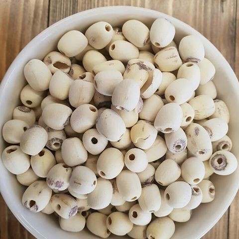 Scivoli intelligenti del selezionatore 10 di colore della noce del pistacchio del dado del CCD