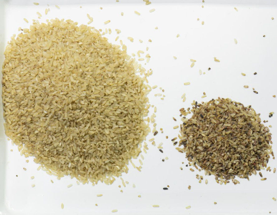 Colore ottico del selezionatore di colore del riso del CCD Carame di Wenyao che ordina la macchina nera del selezionatore di colore del riso