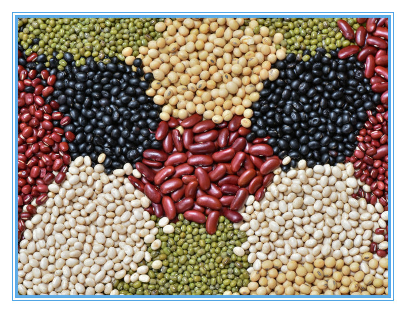 Computazione automatica del cereale della quinoa del grano del riso del selezionatore multifunzionale di colore