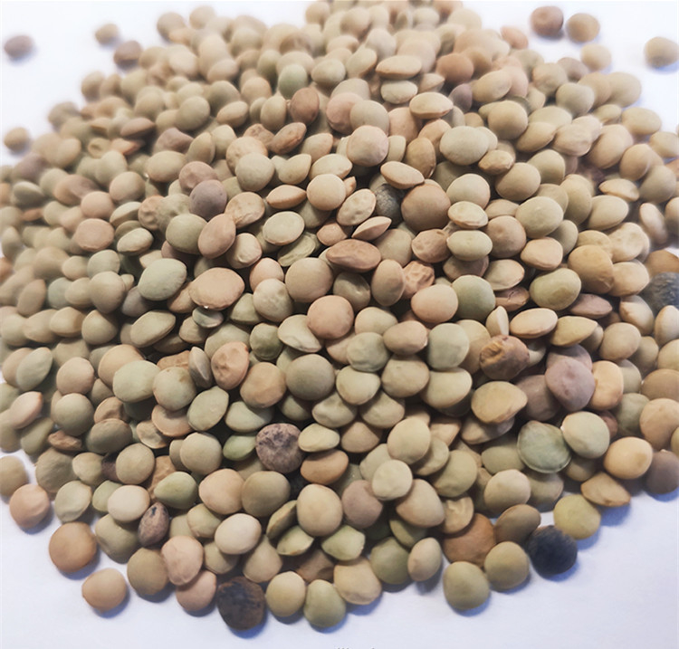 Computazione automatica del cereale della quinoa del grano del riso del selezionatore multifunzionale di colore
