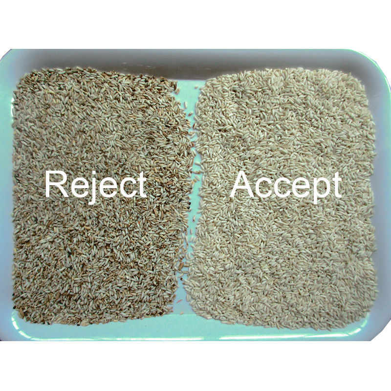 Mini Rice Color Sorting Machine dalla telecamera CCD ottica