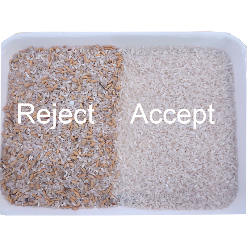 Mini Rice Color Sorting Machine dalla telecamera CCD ottica