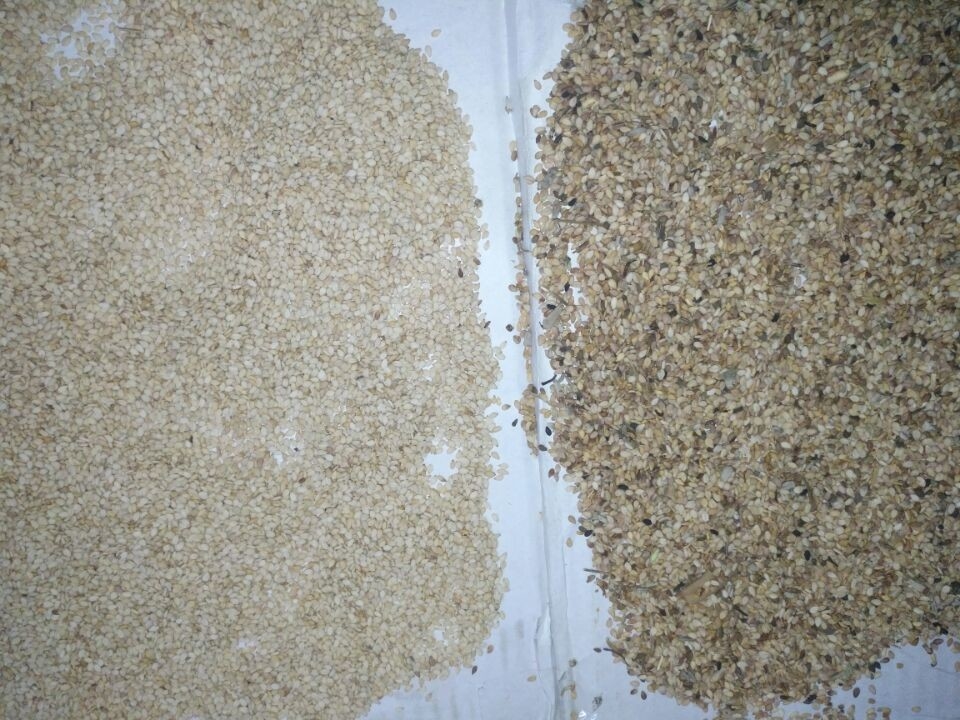 Selezionatore automatico di colore di Rgb dell'orzo del grano per i fagioli del grano commerciali