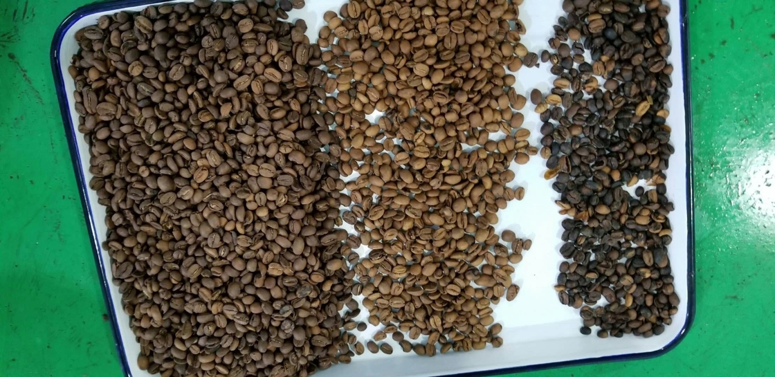 Mini Ccd Green/caffè arrostito Bean Color Sorter High Output