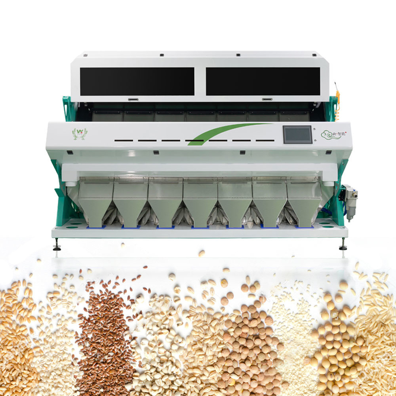 macchina cinese completamente automatica intelligente del selezionatore di colore del sorgo 7Chute 70 tonnellate al giorno