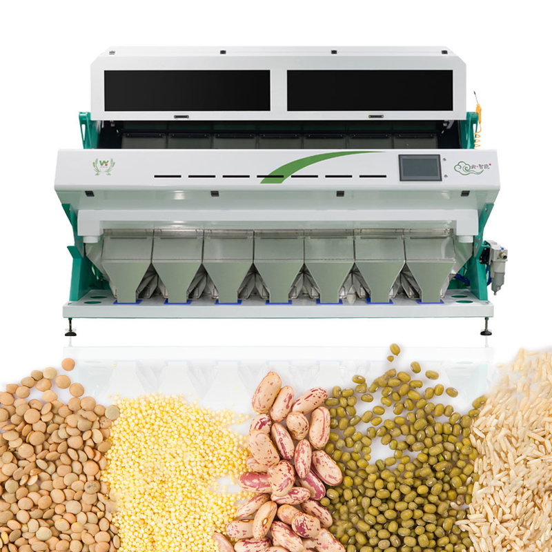 macchina cinese completamente automatica intelligente del selezionatore di colore del sorgo 7Chute 70 tonnellate al giorno