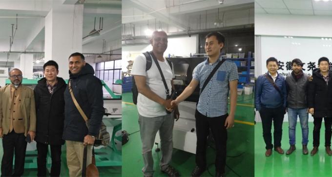 100-900KG/H Colorante per macadamia Wanlut Noce di nocciola 8