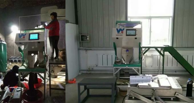 100-900KG/H Colorante per macadamia Wanlut Noce di nocciola 10