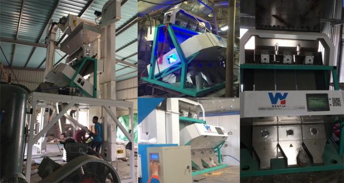 100-900KG/H Colorante per macadamia Wanlut Noce di nocciola 11