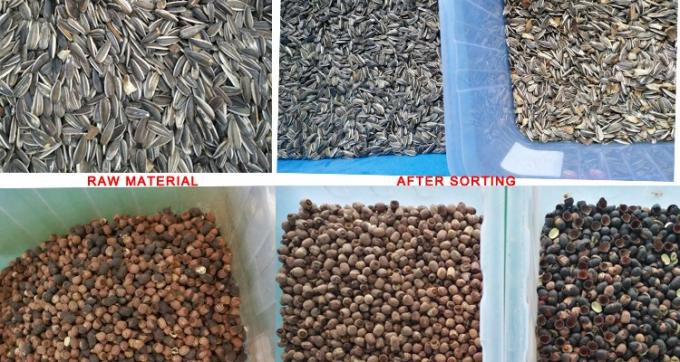 220V / 50Hz Wenyao Color Sorting Machine Per Caffè Fagioli Ceri 5