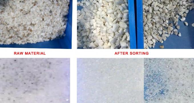 220V / 50Hz Wenyao Color Sorting Machine Per Caffè Fagioli Ceri 8