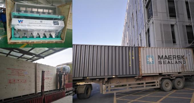 220V / 50Hz Wenyao Color Sorting Machine Per Caffè Fagioli Ceri 25