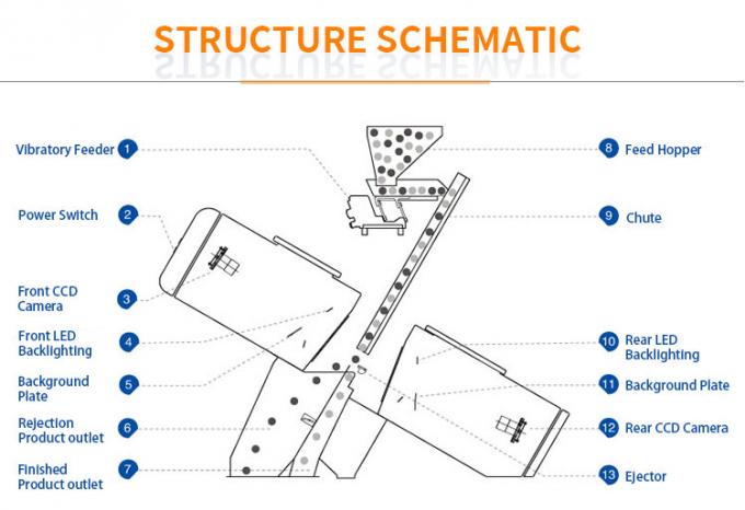 Intelligent Prunes Blueberry Cabbage Kiwicha Frittata Cipolla Verdura Frutta Color Sorting Machine per la lavorazione agricola 1