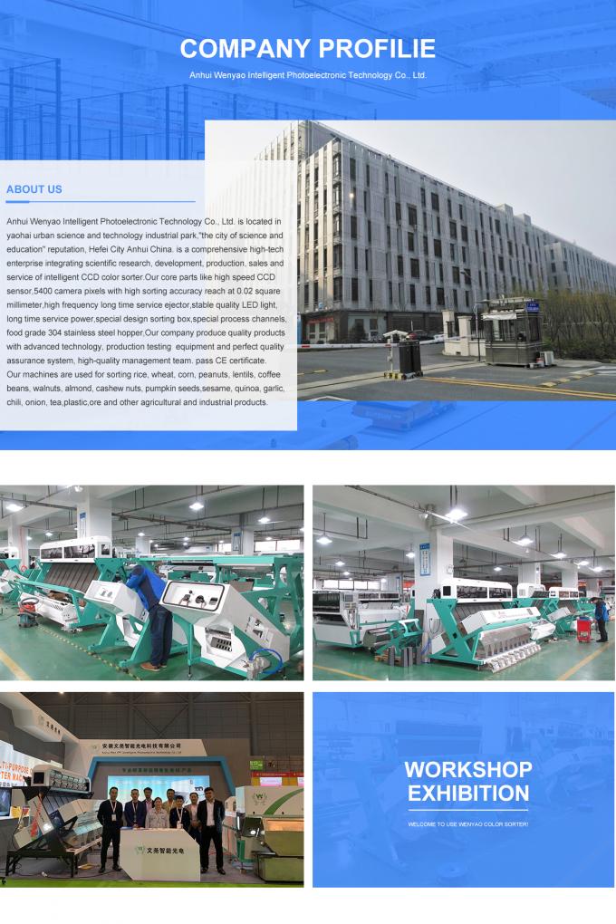 Intelligent Prunes Blueberry Cabbage Kiwicha Frittata Cipolla Verdura Frutta Color Sorting Machine per la lavorazione agricola 25