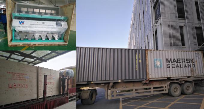 Intelligent Prunes Blueberry Cabbage Kiwicha Frittata Cipolla Verdura Frutta Color Sorting Machine per la lavorazione agricola 23