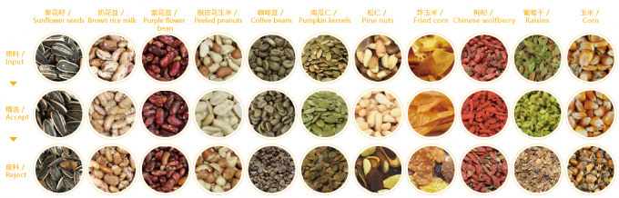 Intelligent Prunes Blueberry Cabbage Kiwicha Frittata Cipolla Verdura Frutta Color Sorting Machine per la lavorazione agricola 4