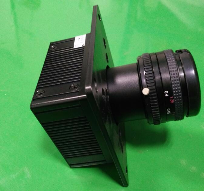 Intelligent Prunes Blueberry Cabbage Kiwicha Frittata Cipolla Verdura Frutta Color Sorting Machine per la lavorazione agricola 6