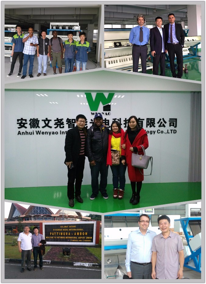 Intelligent Prunes Blueberry Cabbage Kiwicha Frittata Cipolla Verdura Frutta Color Sorting Machine per la lavorazione agricola 10