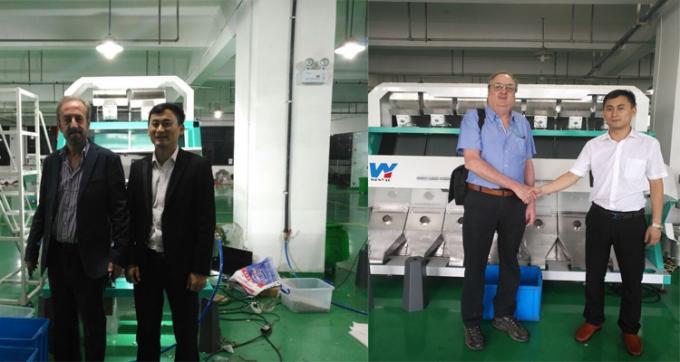 Intelligent Prunes Blueberry Cabbage Kiwicha Frittata Cipolla Verdura Frutta Color Sorting Machine per la lavorazione agricola 11