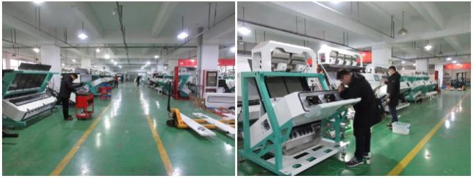 Intelligent Prunes Blueberry Cabbage Kiwicha Frittata Cipolla Verdura Frutta Color Sorting Machine per la lavorazione agricola 26