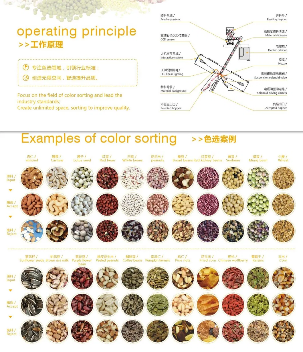 Anhui Wenyao Certificazione CE Sortitore ottico CCD macchina di classificazione dei colori del tè 2
