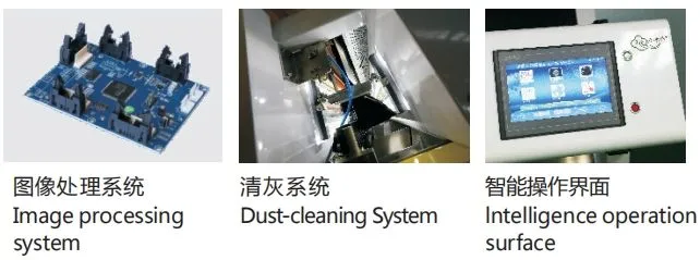 Anhui Wenyao Certificazione CE Sortitore ottico CCD macchina di classificazione dei colori del tè 5
