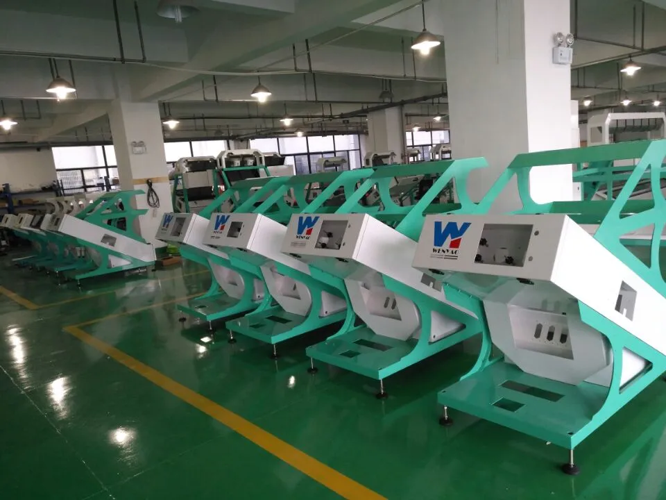 Anhui Wenyao Certificazione CE Sortitore ottico CCD macchina di classificazione dei colori del tè 8