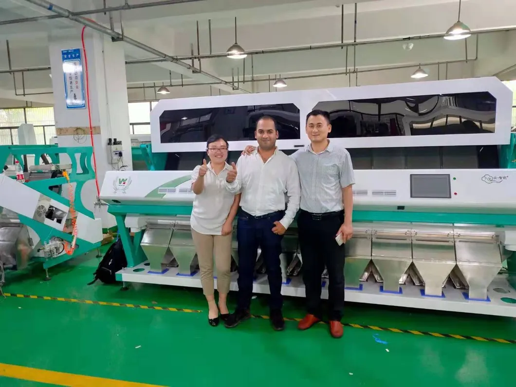 Anhui Wenyao Certificazione CE Sortitore ottico CCD macchina di classificazione dei colori del tè 13