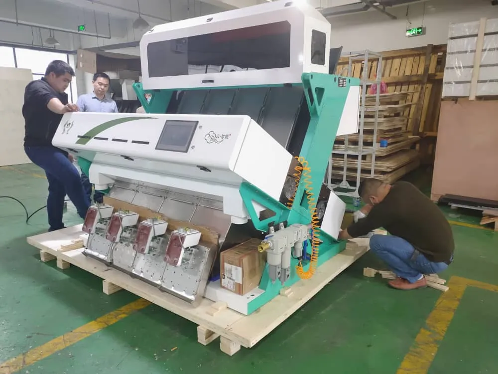 Anhui Wenyao Certificazione CE Sortitore ottico CCD macchina di classificazione dei colori del tè 15