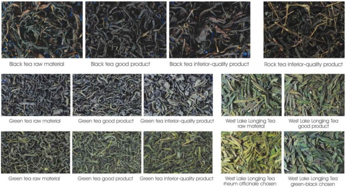 Wenyao CCD Tea Grading Machine per la classificazione del tè nero dello Sri Lanka 2