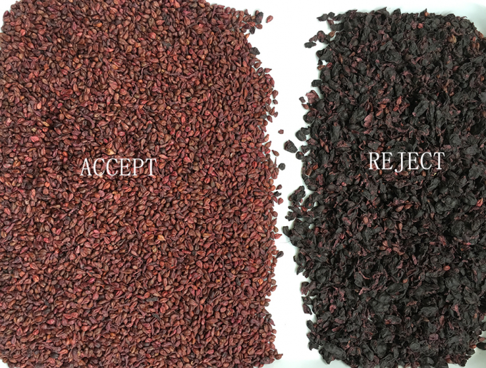 320 Channels Optical CCD Color Sorter Raisin Color Sorting Machine with CE Certification 2