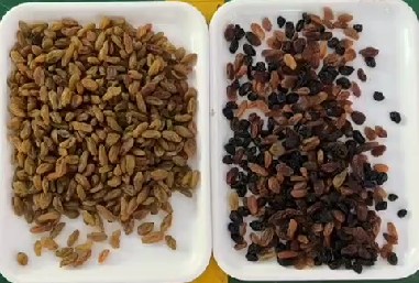 320 Channels Optical CCD Color Sorter Raisin Color Sorting Machine with CE Certification 3