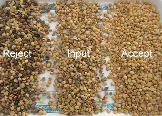 Separatore di colori intelligente CCD Camera Grano Riso Soia Color Sortatore per l'agricoltura 3