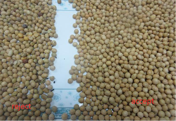 Separatore di colori intelligente CCD Camera Grano Riso Soia Color Sortatore per l'agricoltura 4